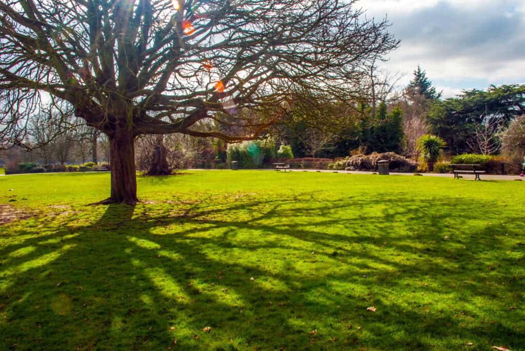 Field at Ravenscourt Park